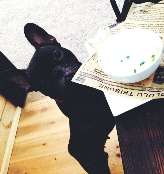 Kai saan nuolla kipon puhtaaksi?