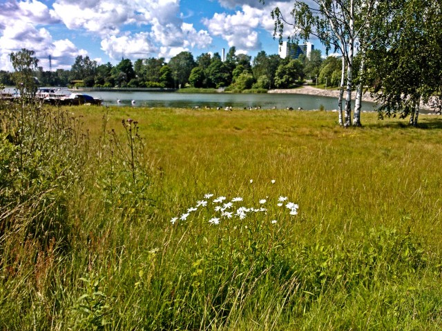 Suunnitelmat voivat heilua ja huojua kuin heinät tuulessa.