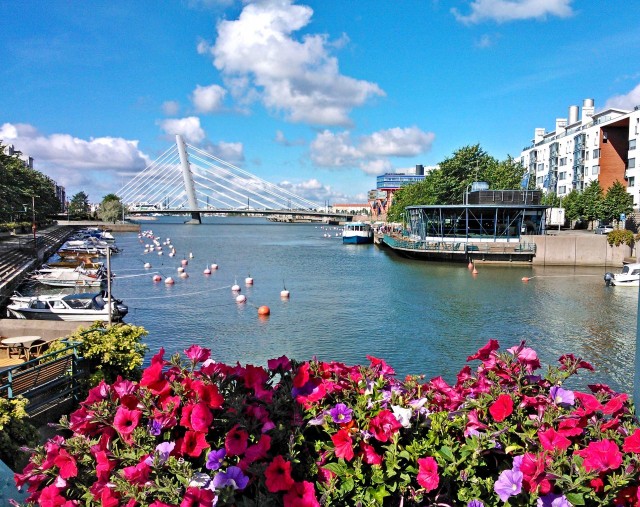 Ruoholahti kanavineen kiinnosti