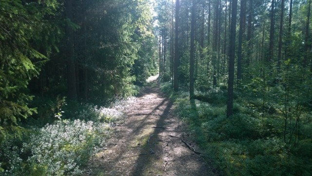 Elämänpolulle sisältyy mitä erilaisempia haasteita, joiden tarkoituksen tulemme ymmärtämään vasta jälkeenpäin.