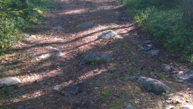 Ymmärrän tarvinneeni kaikki nuo kivet polullani, osatakseni tänään kiertää ne.