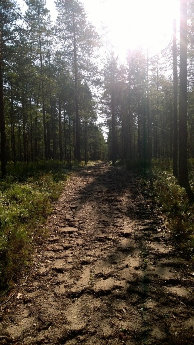 Joskus tie saattaa vaikuttaa karulta, mutta tärkeintä on se että se kantaa askeltaessani sillä..