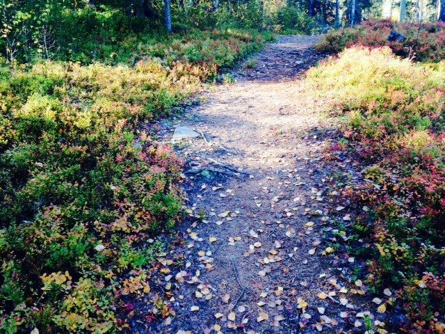 Taas mennään, eikä meinata.