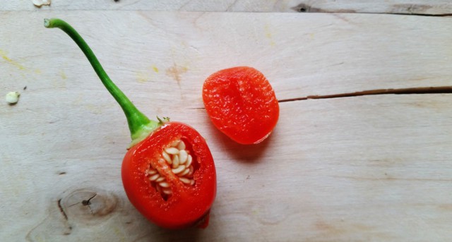 Bufala & Naranga ne yhteen soppii