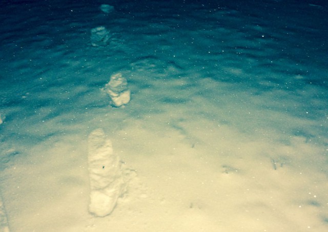 Pysähtyessäni voin havainnoida ympärilläni olevaa kauneutta.