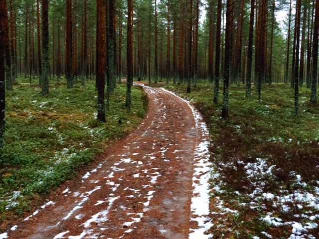 Joskus elämänpolku vaikuttaa kovin mutkaiselta.