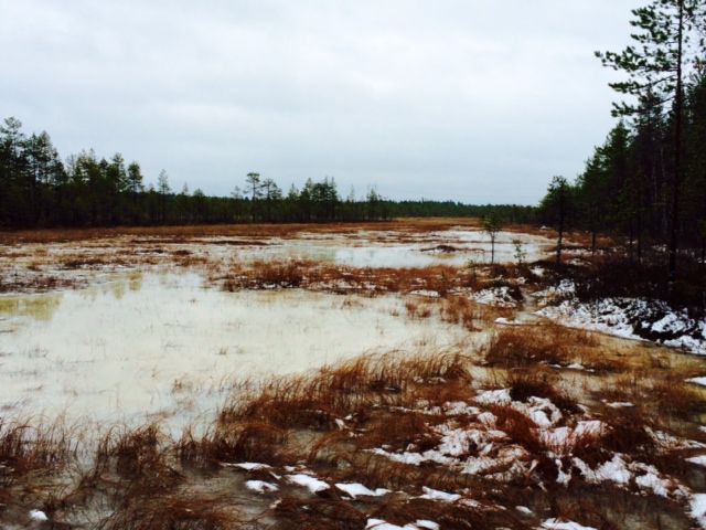 Asioista ajan myötä rakentuu vain upottava suo, josta läpi kulkeminen yksin on lähes mahdottomuus.