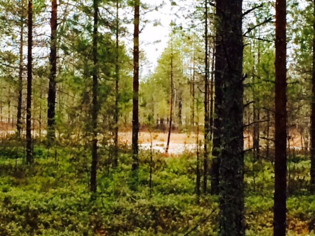 Päänsisäinen maailma vaikuttaa äkkiä melkoiselta ryteiköltä.