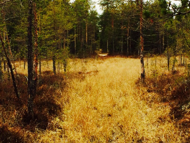 "Ei polku tää vie mihinkään, nyt sen nään kun vihdoin silmät aukaisen. Niin usein pettää itseään.."