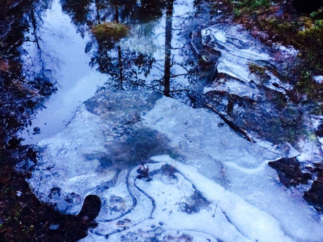 Vanhan on kuoltava, jotta jotain uutta voi syntyä.