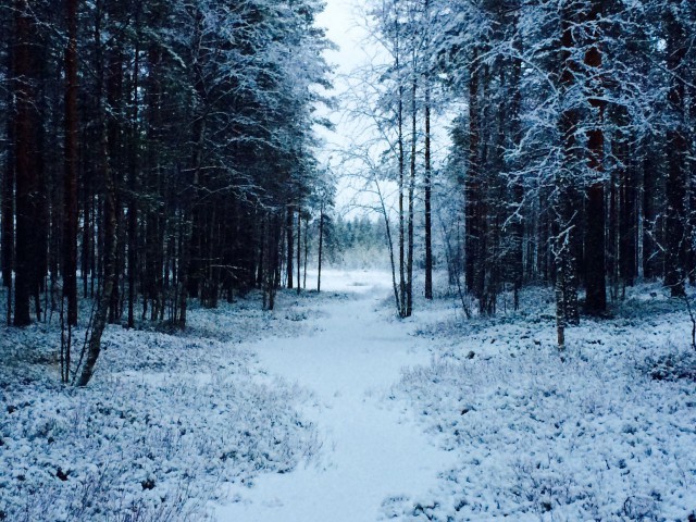 Kauneus on katsojan sydämessä.