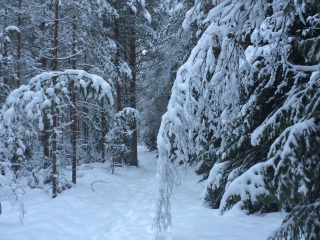 Rauha sisälläni on kaunis kuin luminen maisema.