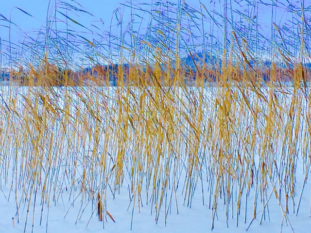 Päihteetön elämä on suonut minulle vapauden elää. Tuntea. Kokea.