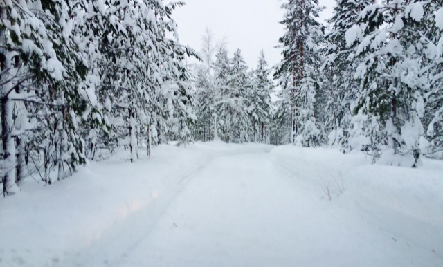 "Tie, totuus ja elämä." Ovi aitoon rakkauteen.