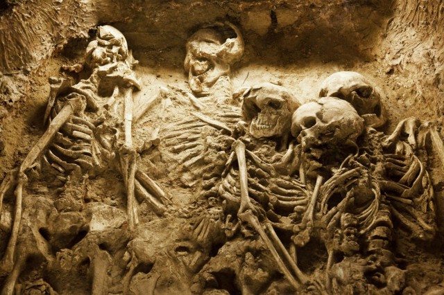 Kuvan kaltaisia luurankoja löytyi lähikaupan kellarista.