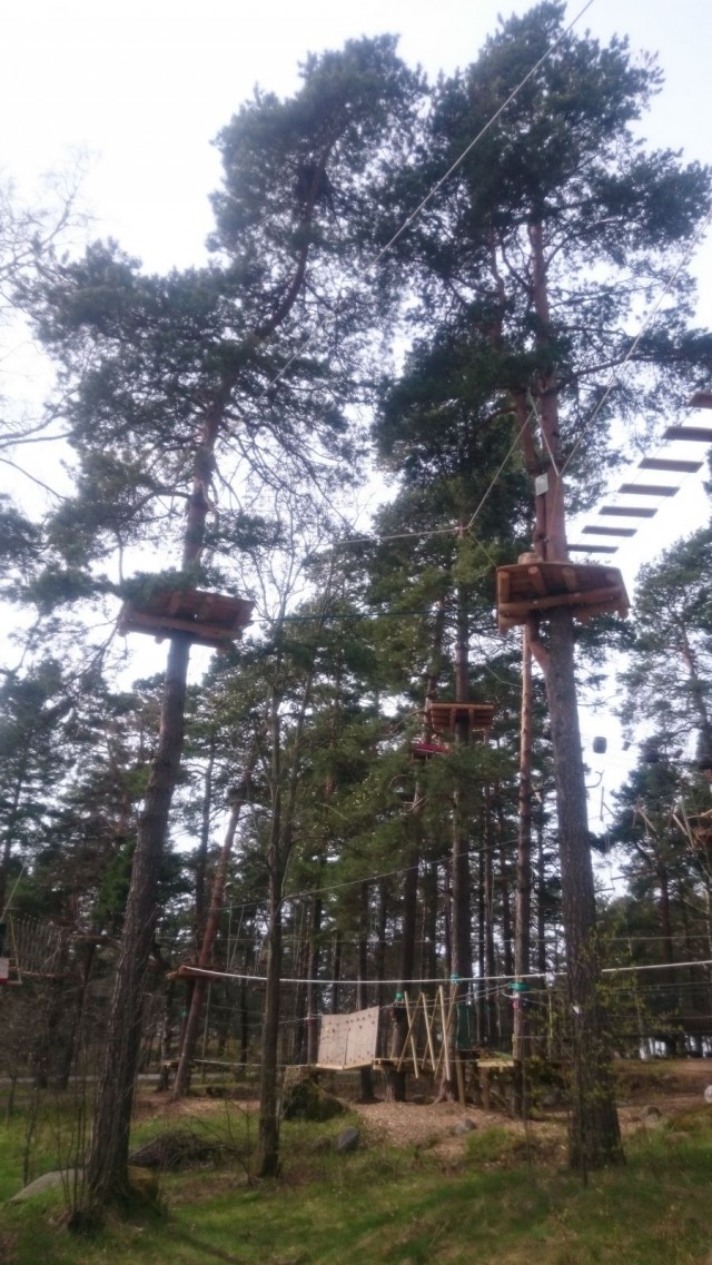 Korkee seikkailupuistossa riittää kiipeämistä.