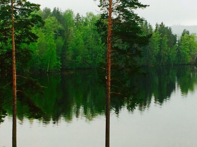 Tyyni järvenpoukama.