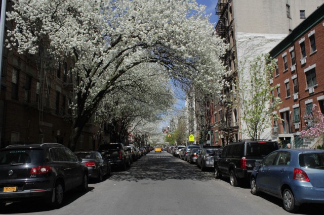 New York on kauneimmillaan kenties keväällä.