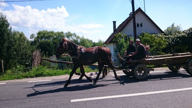 Romaniassam näki silloin tällöin ihmisiä kulkemassa hevosilla pitkin autoteitä. Moottoripyörällä ajaessa piti varoa ettei mutkassa ollut hevosen tai lehmän jättämää liukumiinaa.