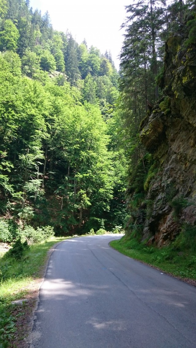 Tämä tie kulki kanjonissa, joen vartta pitkin. Metsän puut varjostivat kivasti. Ei ollut liian kuuma. Tien kunto oli paikoin kyllä aika hirveä tai oikeastaan surkea, mutta välillä taas ihan täydellinen.