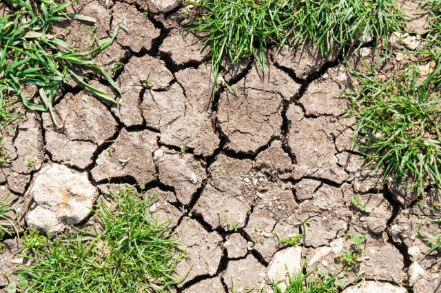 Kuva: Pabkov / Fotolia