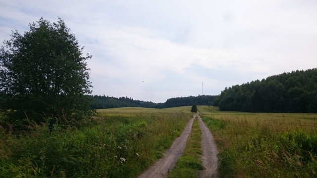 Helikopteri seurasi meitä sekä pellon yli loikkinutta metsäpeuraa. Me katosimme metsään luontopolulle ja sinne hävisi myös metsäpeura.