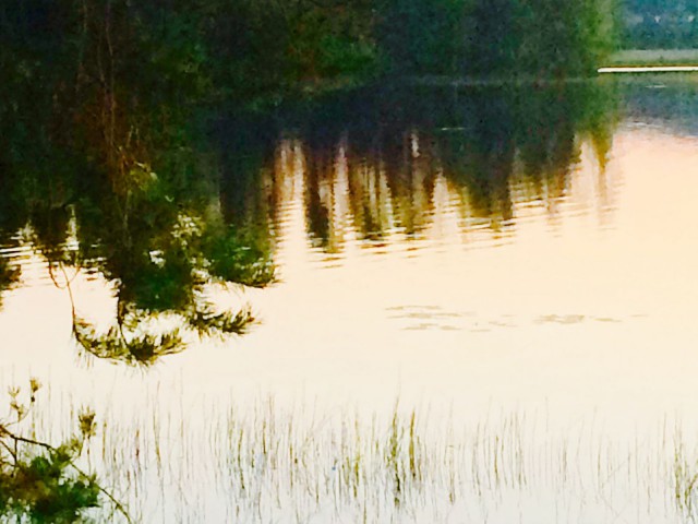 Suurin viisaus sisältää kysymyksen.