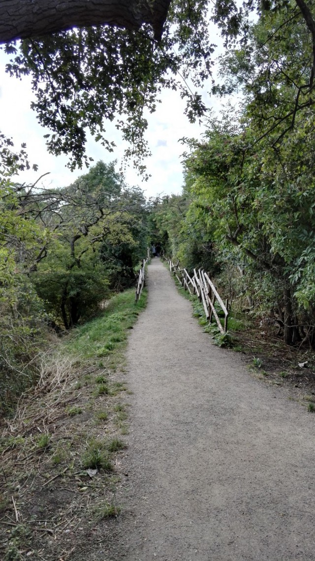 Christianian rannan puolella on kivoja metsäisiä polkuja joita voi kävellä.