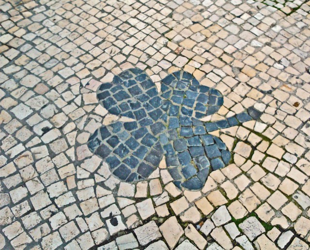 Neliapilan nähtyään saa toivoa