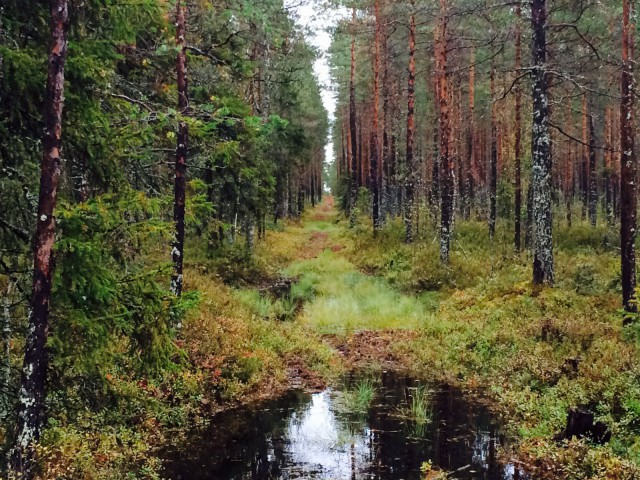 Elämän ei tarvitse olla selviytymistaistelu.