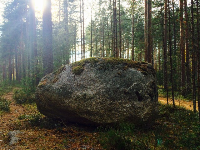 Joskus elämä tuo polullemme esteitä, mutta se miten niihin suhtaudumme, vaikuttaa lopputulokseen.