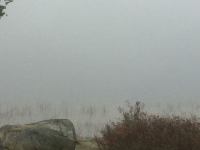 Tunnettavuutta voidaan luoda tai sitten se voi syntyä kuin itsestään.