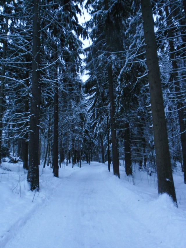 Helmikuun sininen, 2013