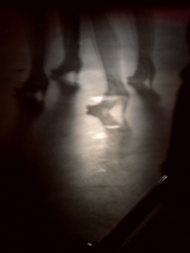 Nelijalkaisiakin näkyi