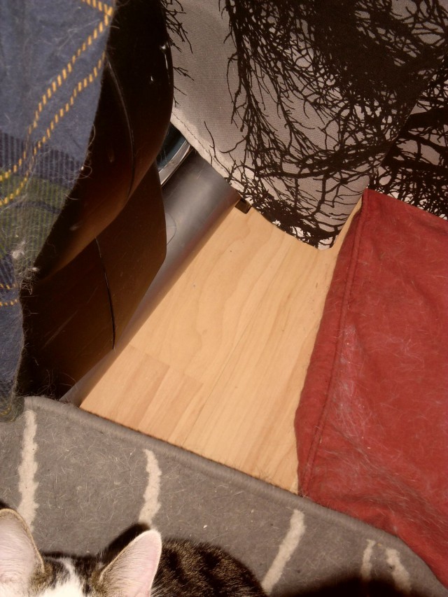 Tässä on kai olennainen kissasta.