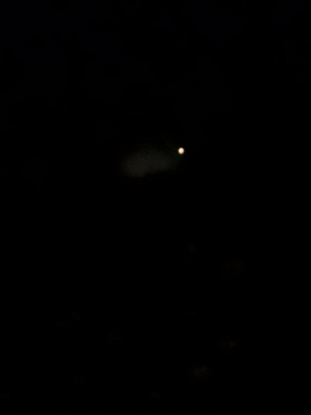 Albiinokani pimeässä. Hieno kuva, eikös?