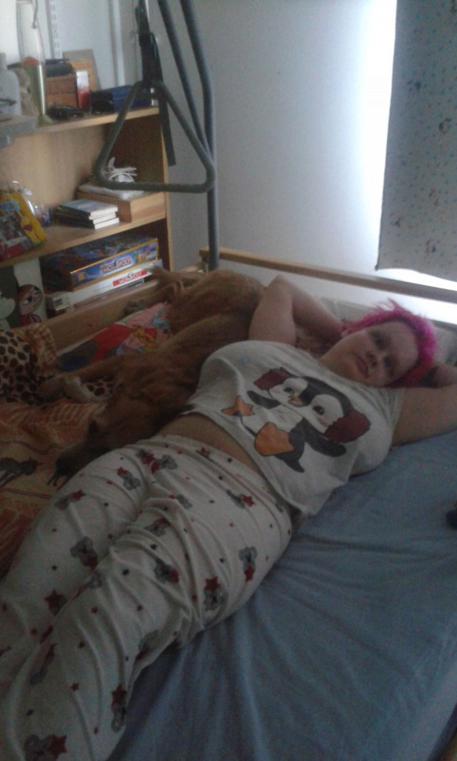 minä ja koirani Late