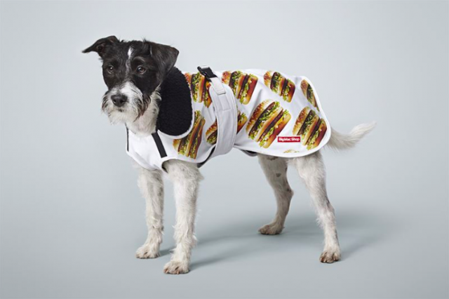 Big Macin voi pukea paitsi itsensä, myös lemmikkinsä ylle.