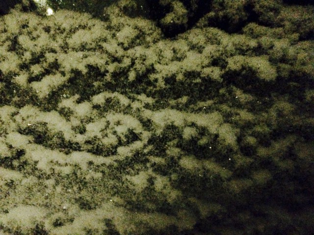 Asiat harvoin ovat sitä, mitä ne ensivaikutelmaltaan näyttäisivät olevan.