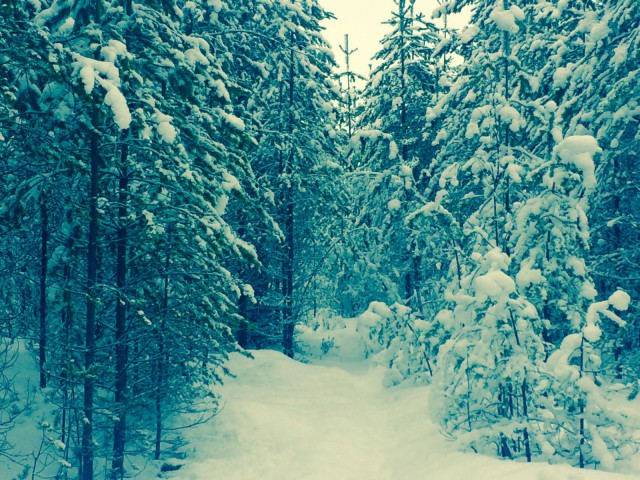 Mikään ei luonnossakaan kasva yhtään sen nopeammin, vaikka kuinka vaatisin.