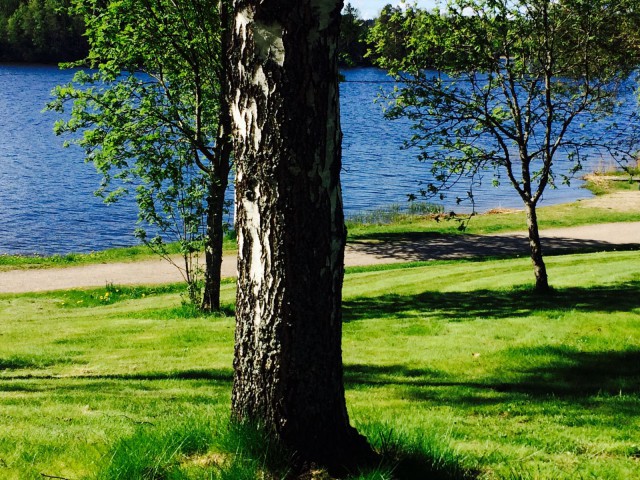 Toukokuussa luonto aloittaa oman elämänsä.