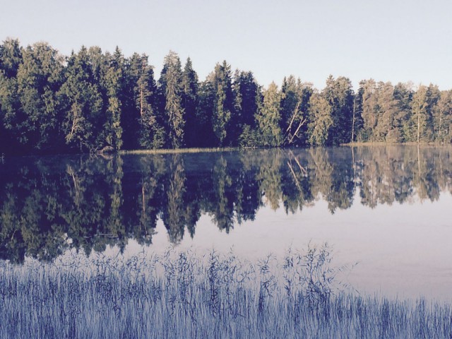 Elokuussa järvessä on elämää.