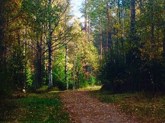 Lokakuussa luonto alkaa jo valmistautua talveen.
