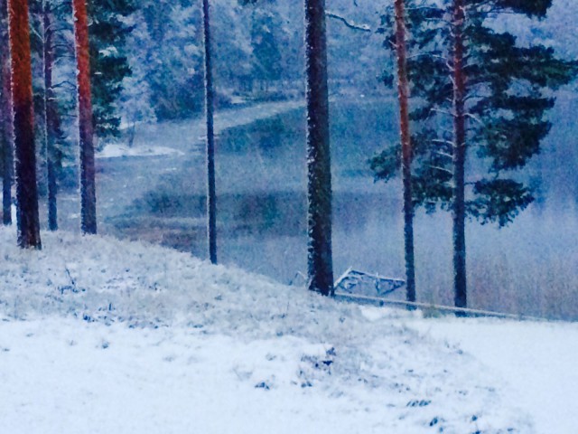 Joulukuulla luonto jo nukkuu.