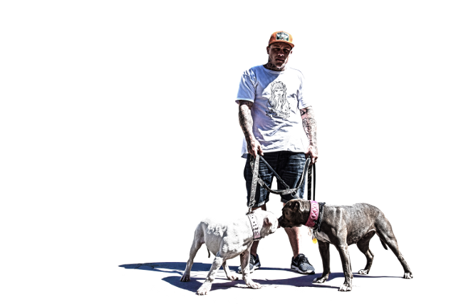 Ällä kasvattaa amerikanpittbullterriereitä. Hänen ensimmäiset pentueensa ovat juuri syntyneet.