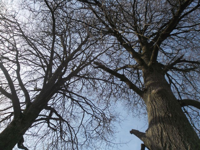 Puutkaan eivät mieti, mitä olisivat voineet tehdä toisin