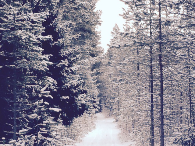 Elämä ei läheskään aina tarjoa sitä mitä haluan. Pääsääntöisesti se tarjoilee sitä mitä tarvitsen.