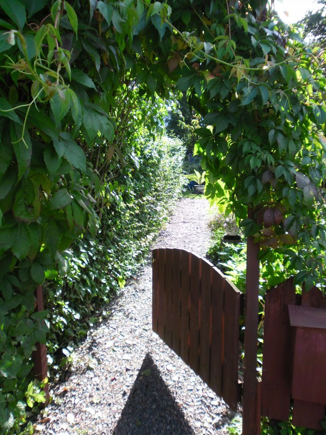 Valokuvistakin on korttien aiheiksi, sillä tulkinnoilla on paljon tilaa.