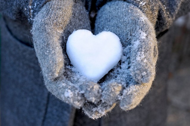 Kuva: photophonie / Fotolia