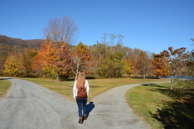 Kuva: margaret900 / Fotolia